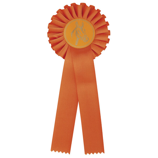 RESTPOSTEN: Rosette, orange