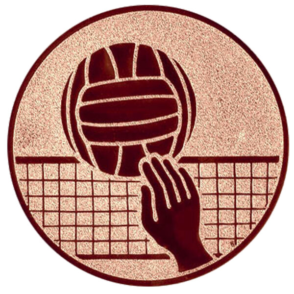 Volleyball, DM 50 mm, Standardemblem, bronze